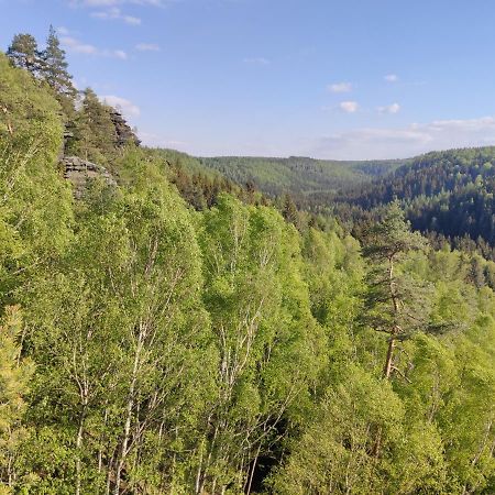 Ferienwohnung Saechsische Schweiz Rosenthal-Bielatal Zewnętrze zdjęcie
