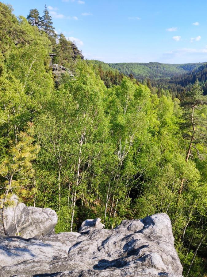 Ferienwohnung Saechsische Schweiz Rosenthal-Bielatal Zewnętrze zdjęcie